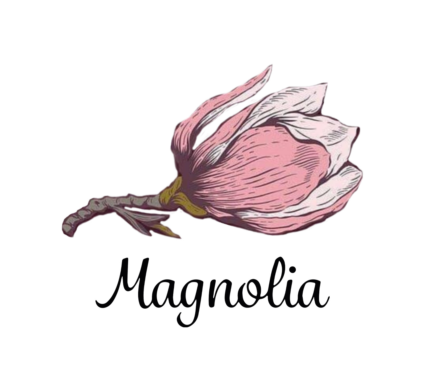 https://www.azalclub.az/az/company-detail/magnolia-esteworld